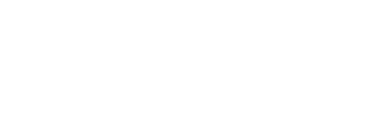 Momentum Human Movement