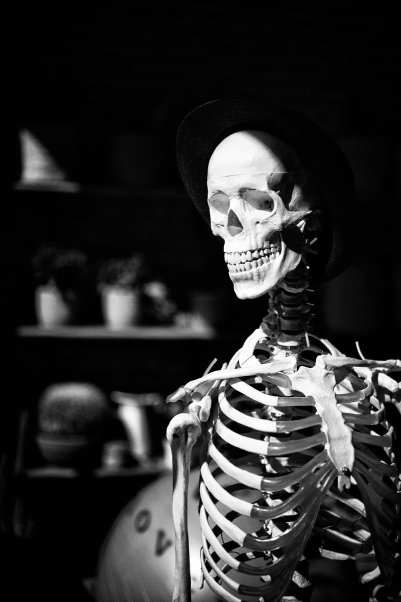Le squelette anatomique du studio, coiffé d'un chapeau, à contre-jour